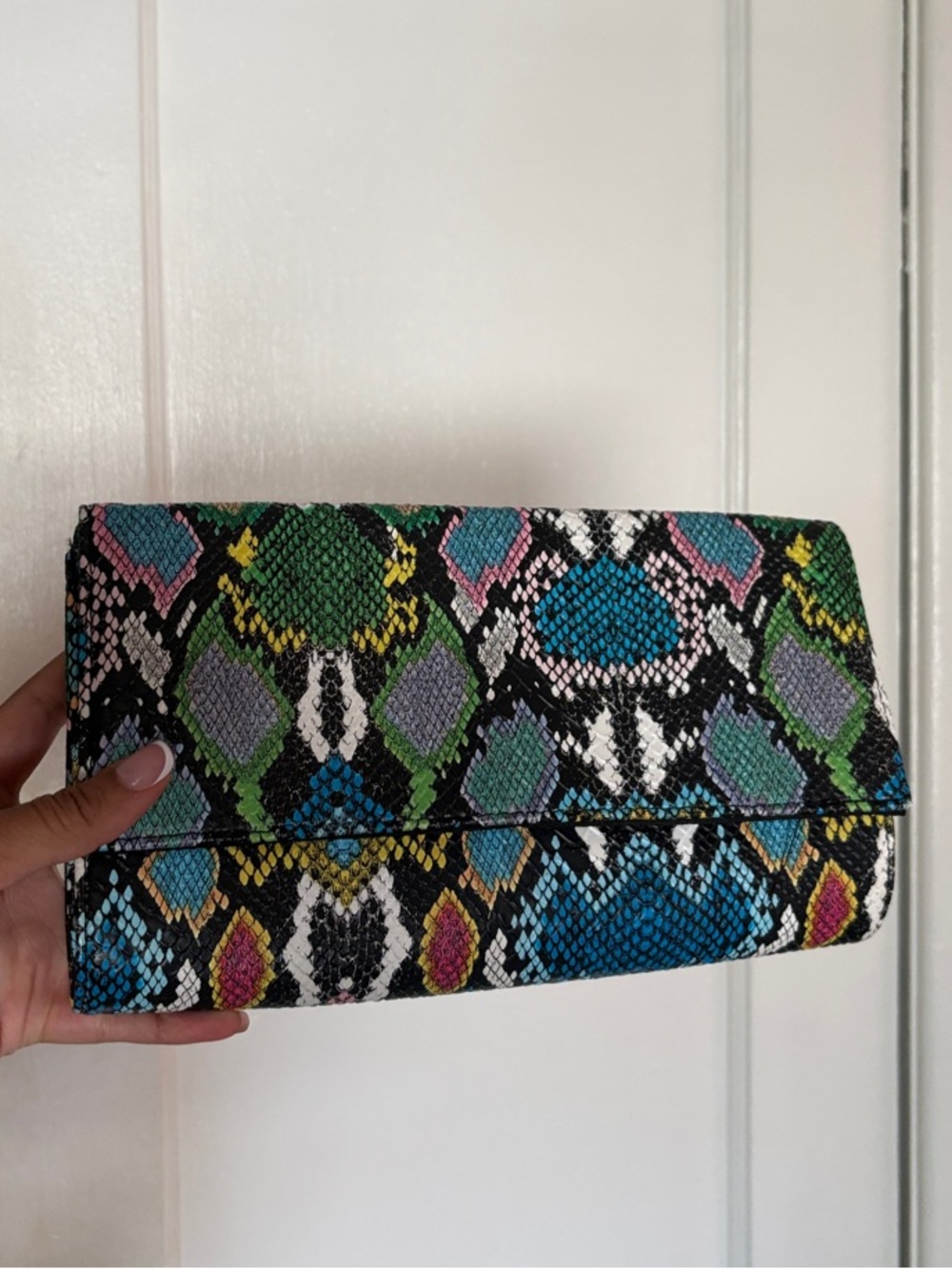 Multicolor Snake-Print Clutch Bag